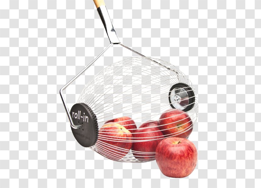 Weed Control Apple Nuts Fruit Abflammen Transparent PNG