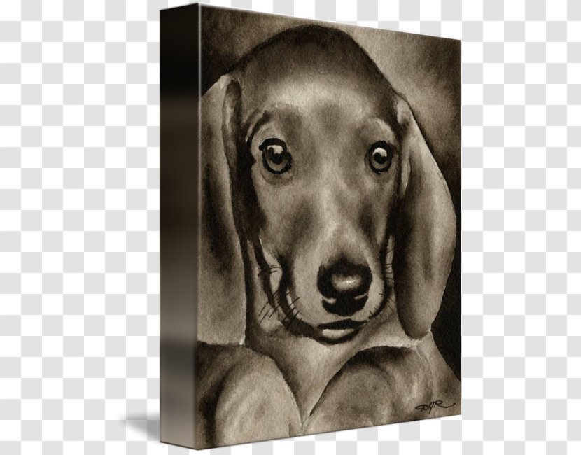 Dachshund Weimaraner Puppy Love Dog Breed - Hound Transparent PNG