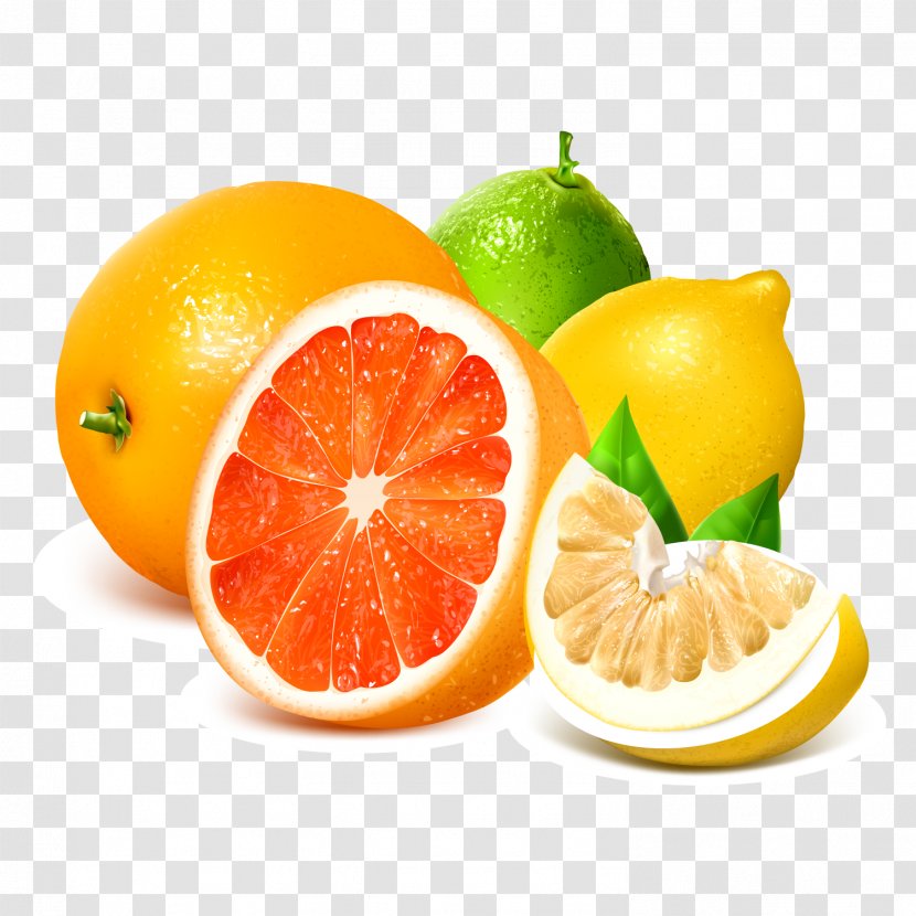 Lemon Grapefruit Royalty-free Illustration - Orange - Fresh Citrus And Vector Material Transparent PNG