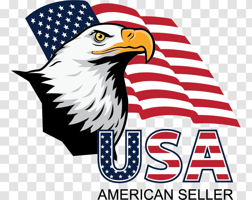 Bald Eagle United States Logo - Stock Photography Transparent PNG