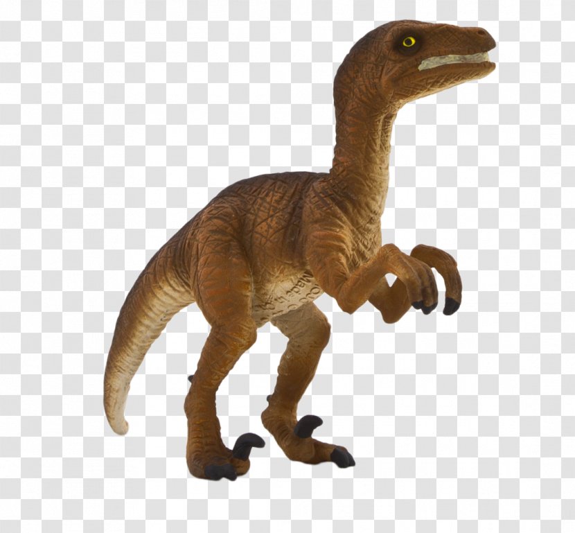 Velociraptor Tyrannosaurus Horse Dinosaur Allosaurus - Extinction Transparent PNG