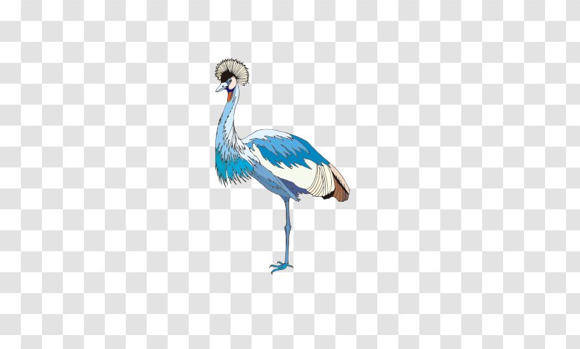 Crane Bird - Fauna - Blue Transparent PNG