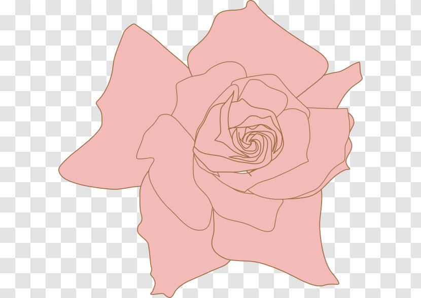 Garden Roses Flower Pink Floral Design Petal - Plant - Flowering Transparent PNG