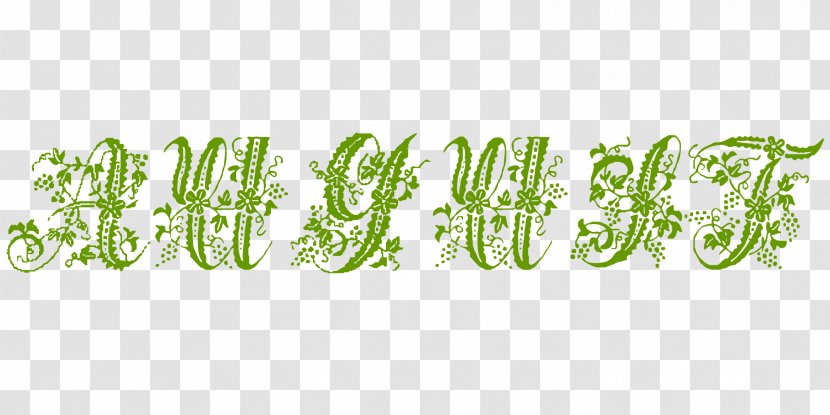 August Floral Style - Calligraphy Transparent PNG