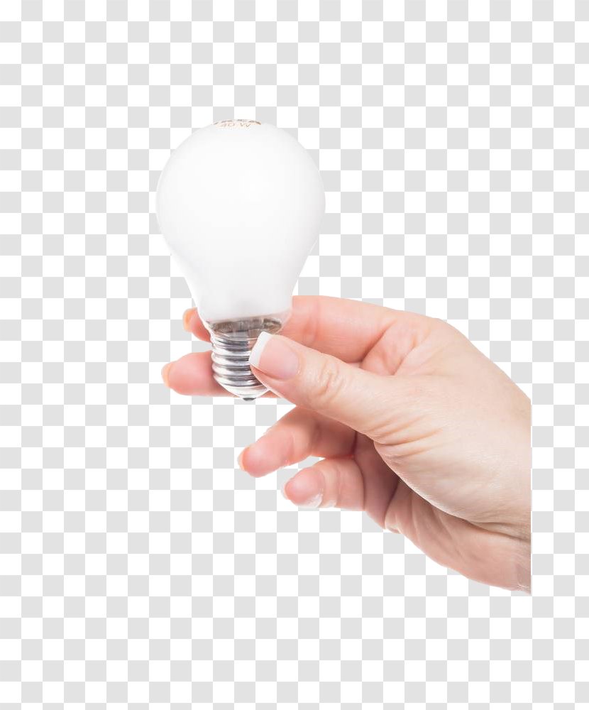 Incandescent Light Bulb Computer File - Fluorescent Lamp - Holding The Transparent PNG