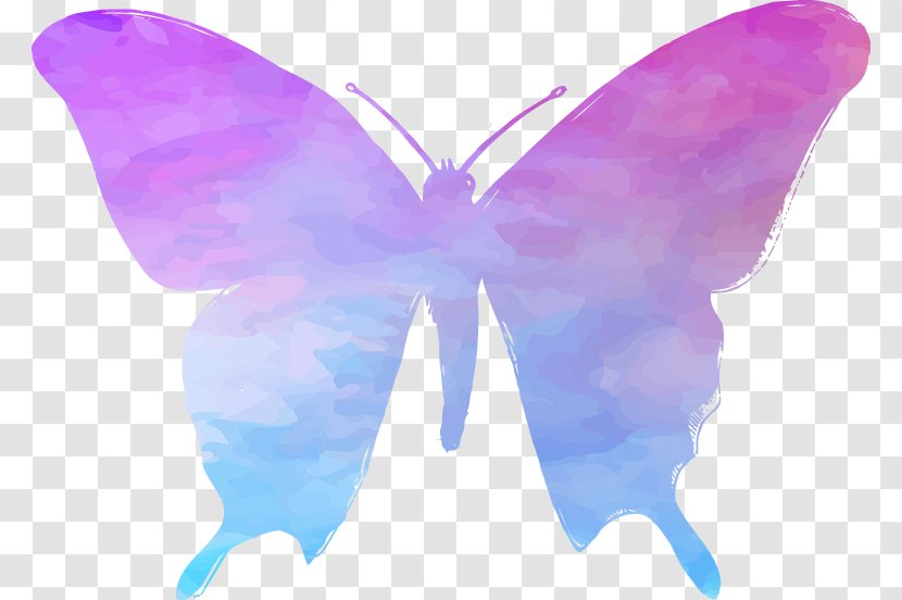 Healing Texel Symmetry Fairy 2M Moth - Holism - Tex Transparent PNG