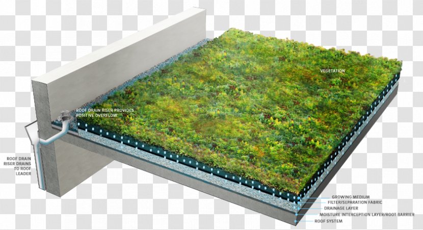 Green Roof Garden Landscaping Drainage Transparent PNG