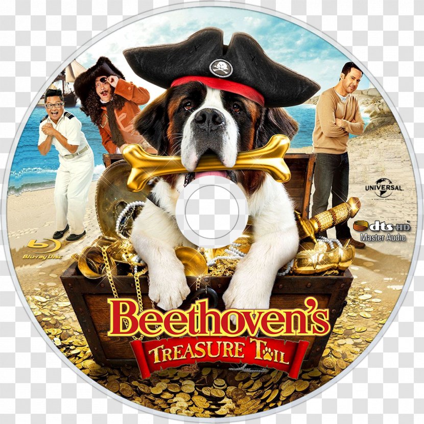 Blu-ray Disc United States Beethoven DVD Film Transparent PNG