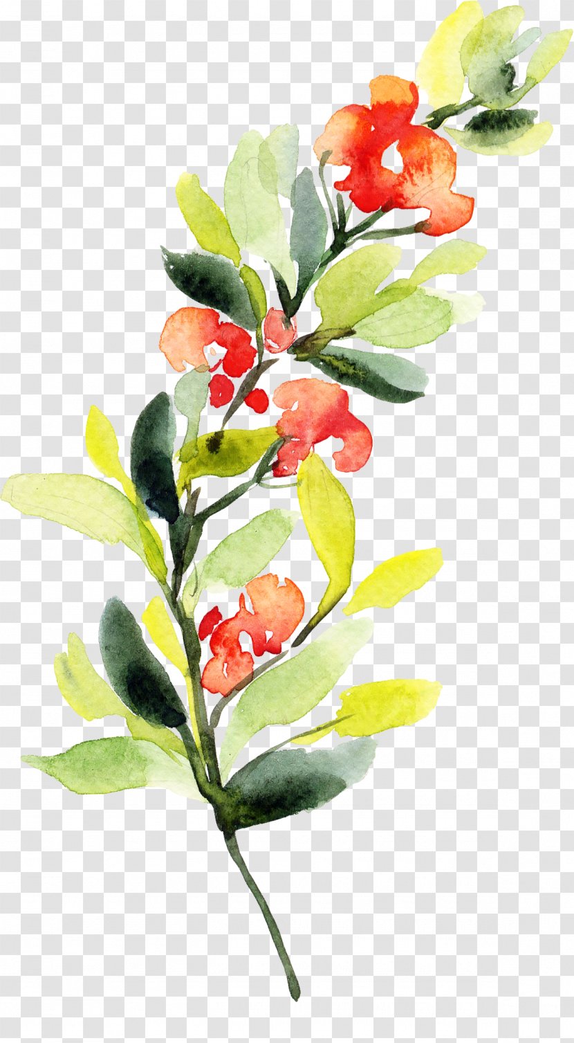 Flower Plant Branch Flowering Leaf - Watercolor Paint - Petal Transparent PNG