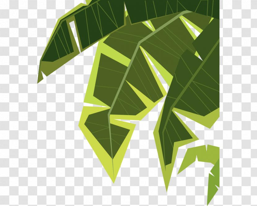 Cartoon Illustration - Vecteur - Green Palm Leaves Transparent PNG