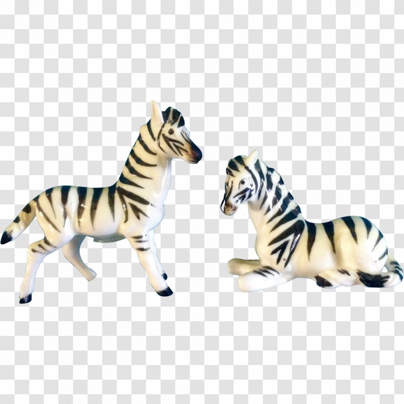 Quagga Cat Horse Mammal Animal - Like - Zebra Transparent PNG