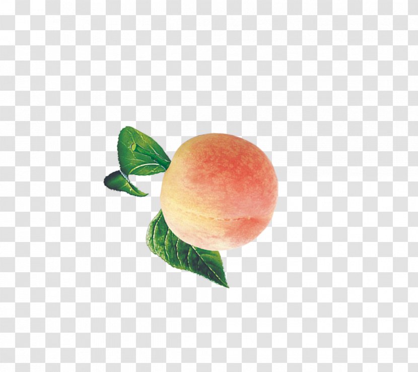 Peach Auglis Download Fruit - Resource Transparent PNG