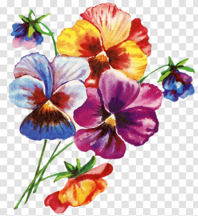 Ansichtkaart Birthday Greeting & Note Cards Jubileum Gift - Petal - Pansy Transparent PNG