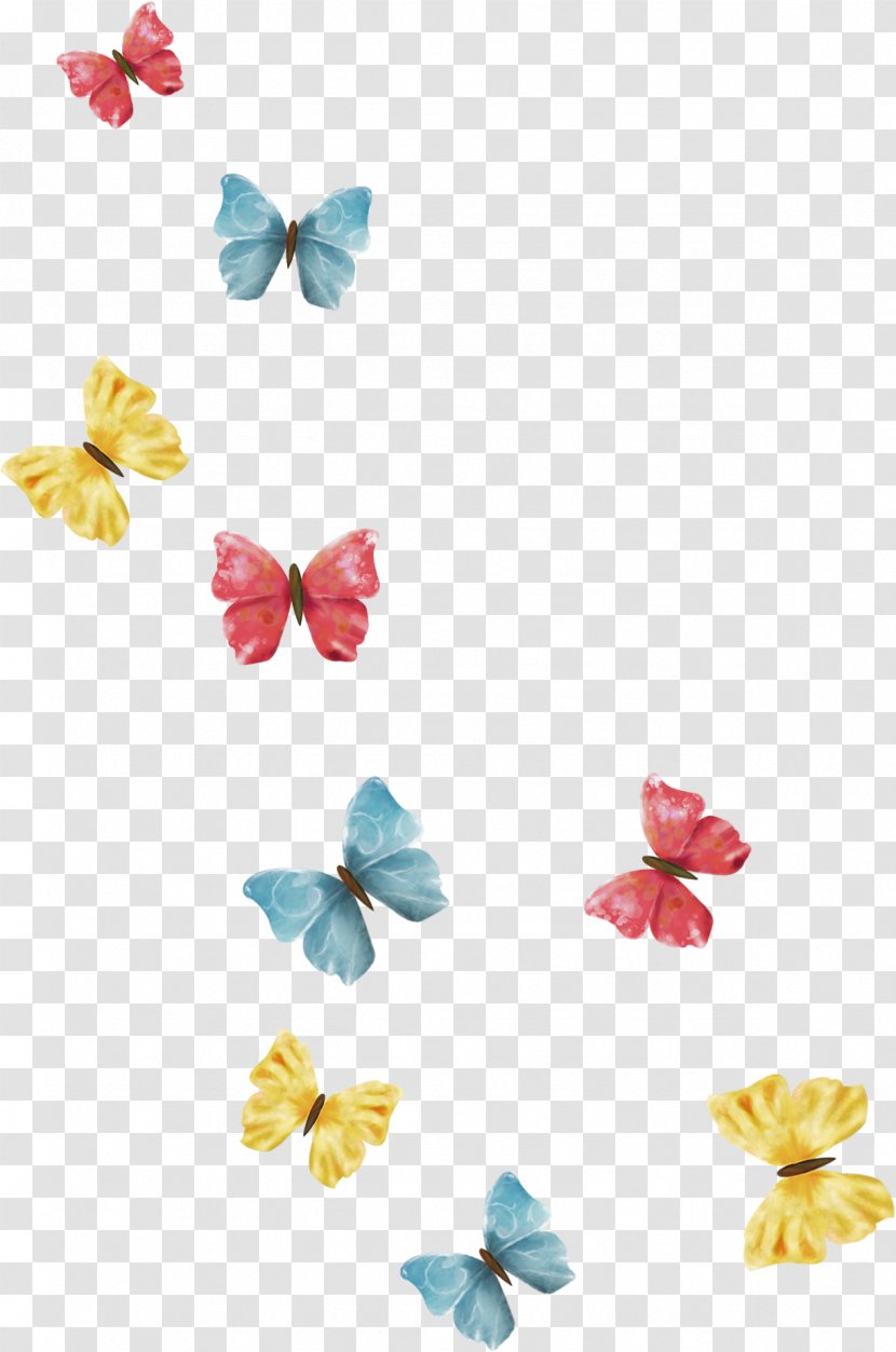 Butterflies And Moths Photography Clip Art - Insect - Dandelion Transparent PNG