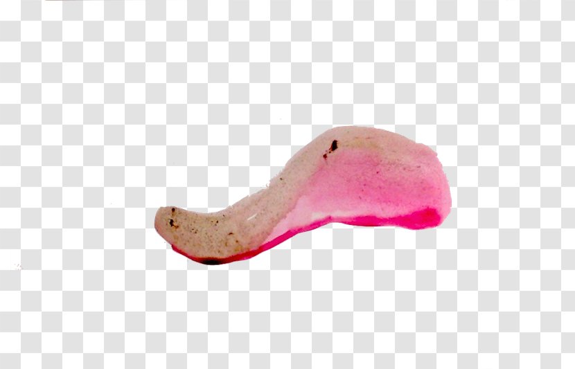 Human Mouth Pink M - Thirtynine Graves Transparent PNG
