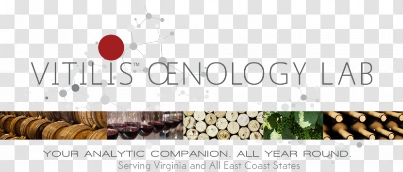 Winemaker Vitilis Oenology Lab Services Wikipedia - Dining Room - Wine Transparent PNG