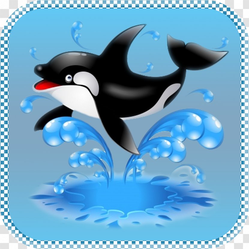 Dolphin Killer Whale Marine Mammal Penguin Cetacea - Highdefinition Television - Sea Animals Transparent PNG