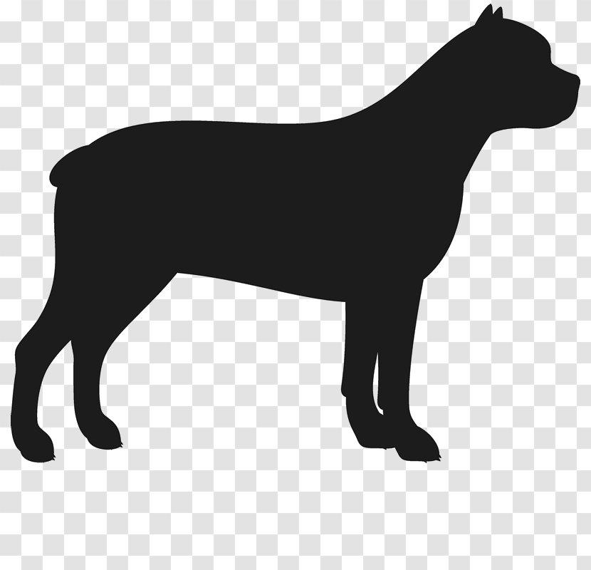 Staffordshire Bull Terrier American Cane Corso Bulldog - Royaltyfree - Snout Transparent PNG