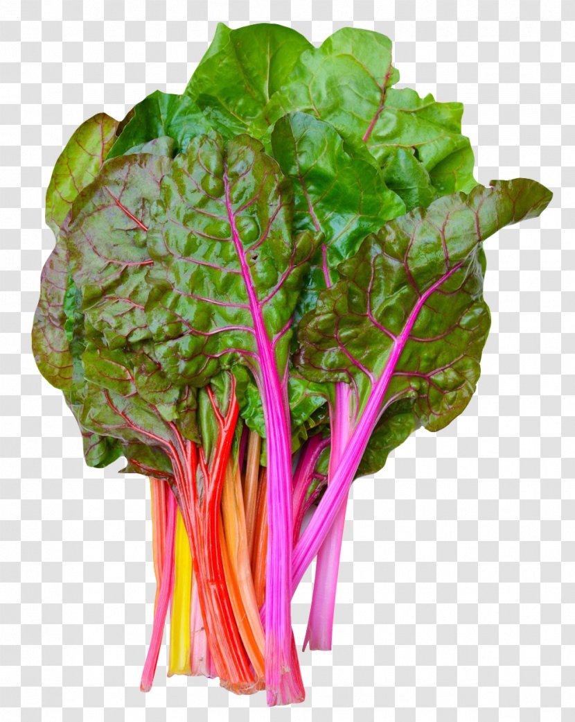 Chard Switzerland Vegetable - Romaine Lettuce - Rainbow Swiss Transparent PNG