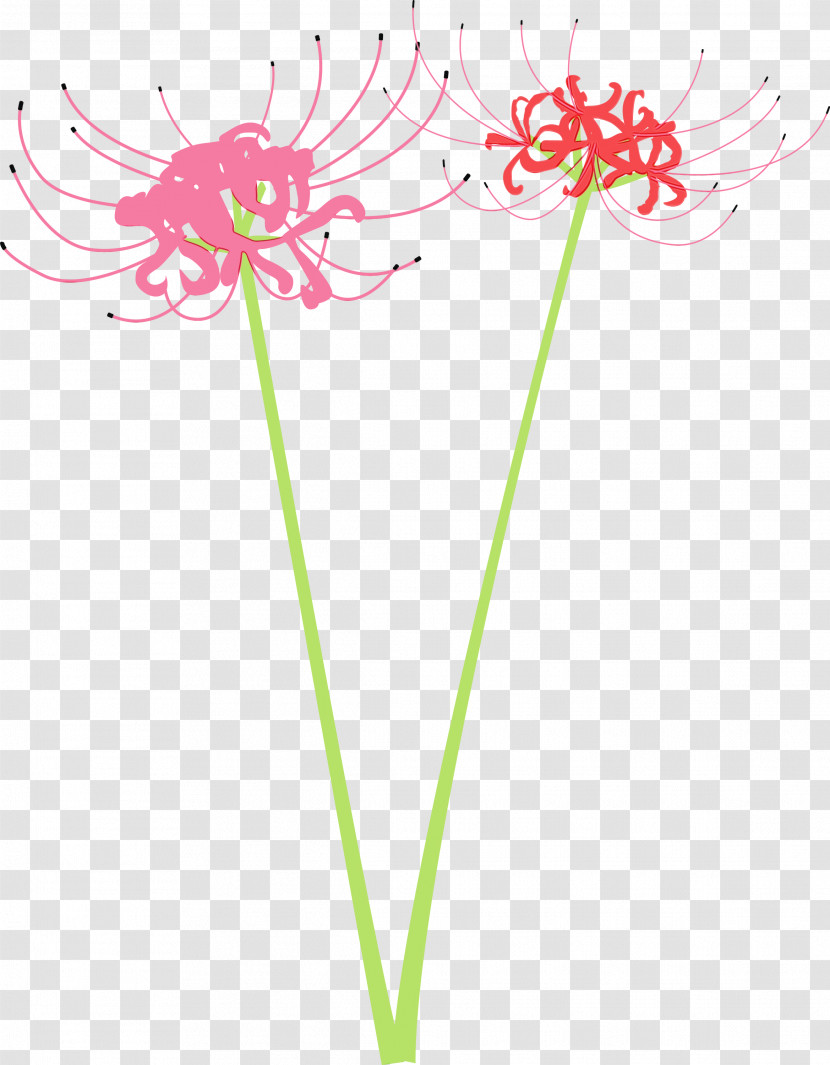 Flower Pink Plant Cut Flowers Pedicel Transparent PNG