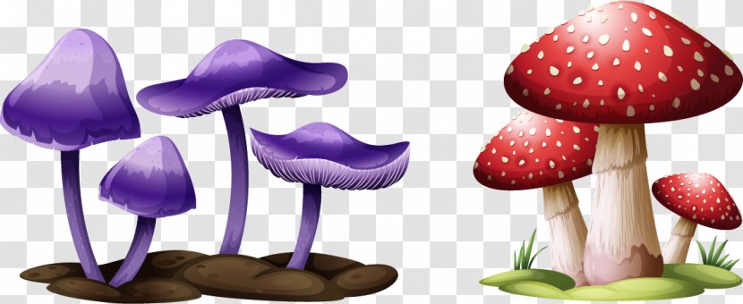 Mushroom Festival Drawing Illustration - Vector Painted Mushrooms Transparent PNG