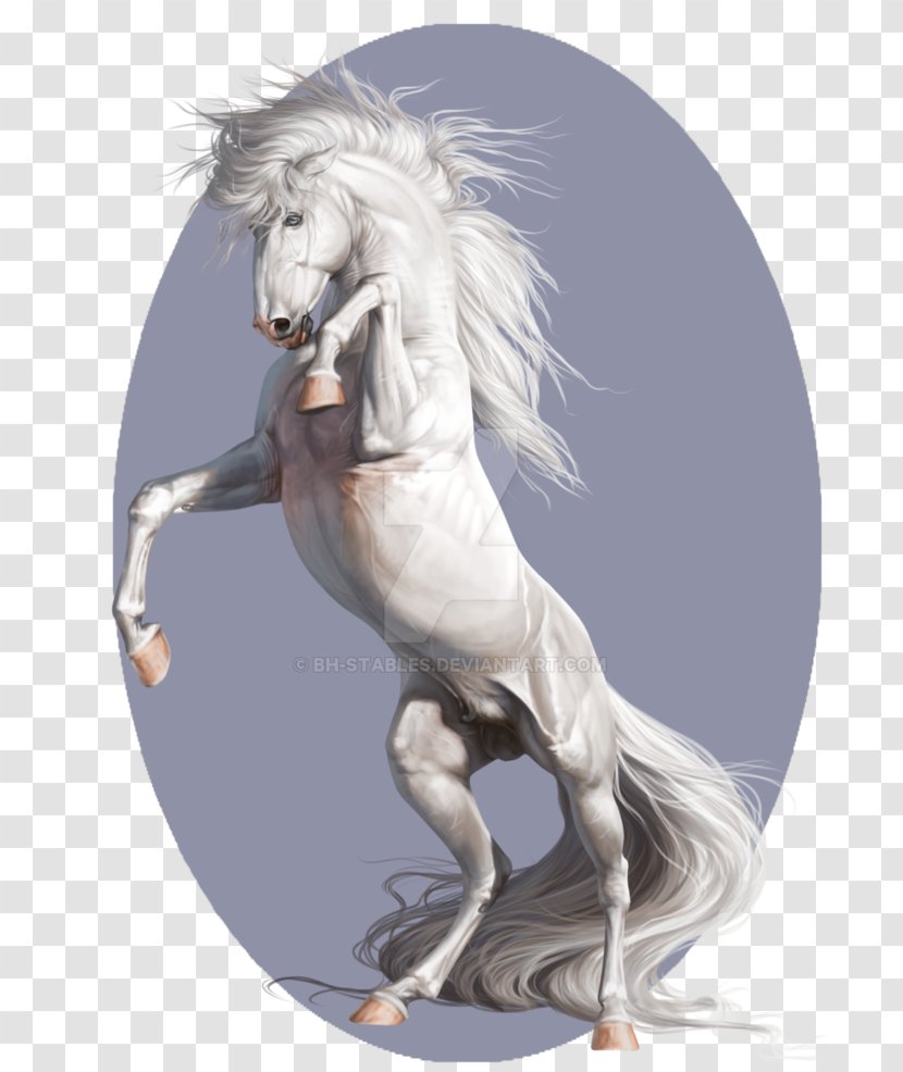Stallion Artist Mustang Pony - Fictional Character Transparent PNG