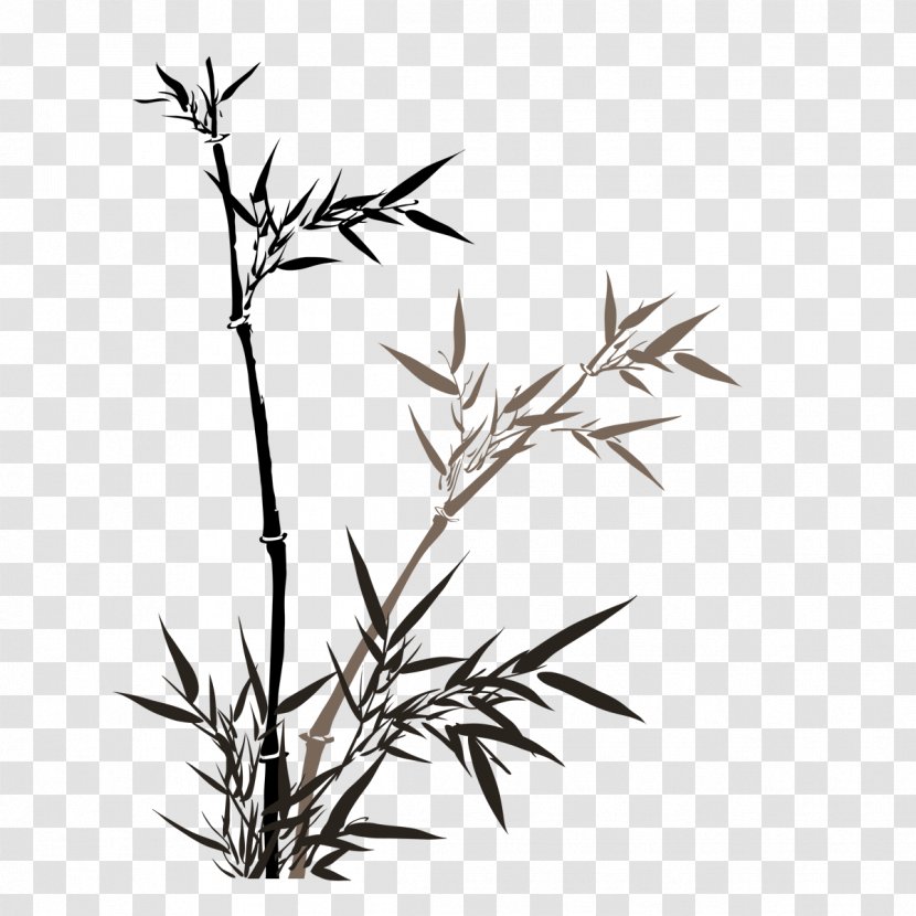 Chinese Painting Bamboo Ink Wash Art - Flora - Of Transparent PNG