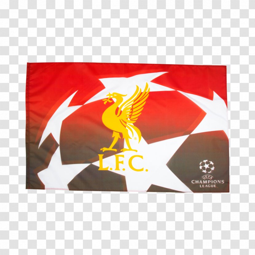 UEFA Champions League Europa Euro 2016 Premier Football - Sport Transparent PNG