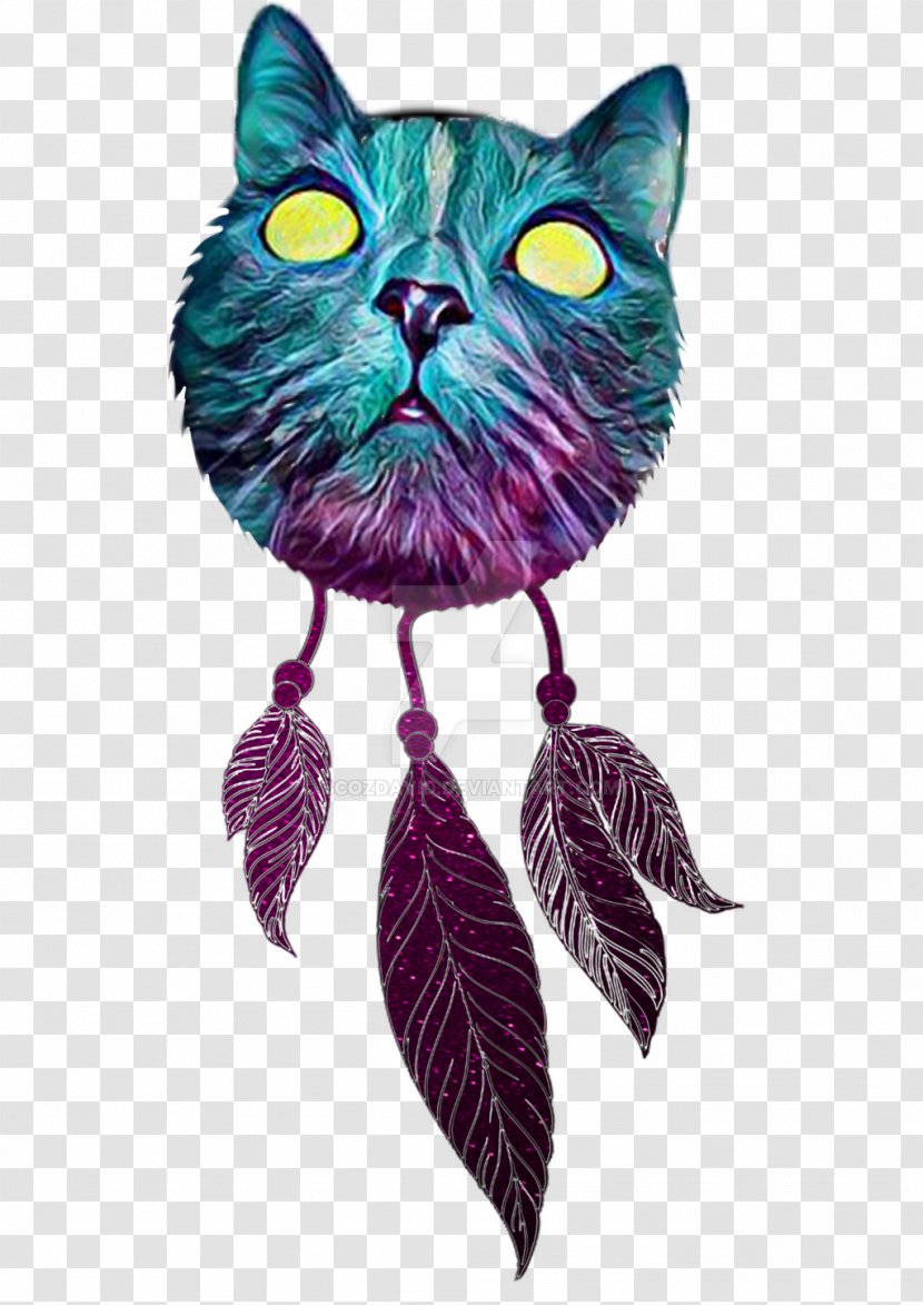 Cat Whiskers Carnivora Pet Animal - Dreamcatcher Transparent PNG