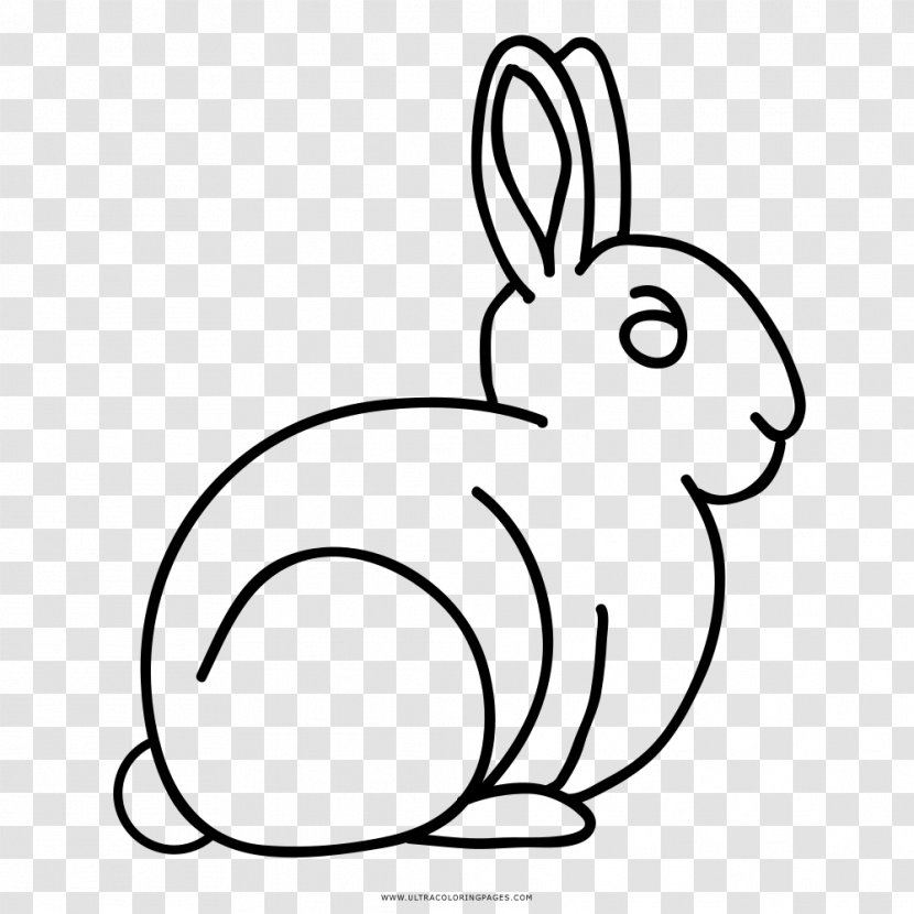 Domestic Rabbit Hare European Coloring Book - Drawing - Color Transparent PNG
