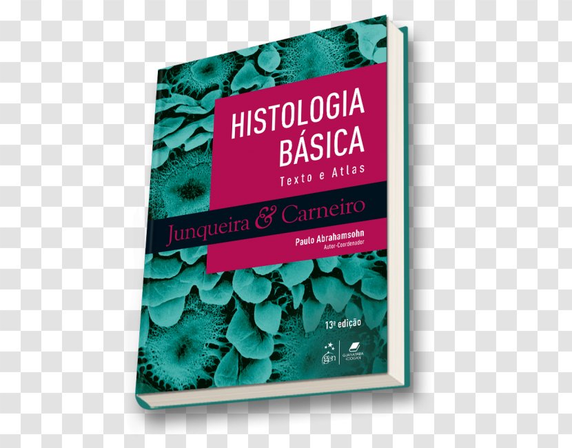 Histologia Basica Texto Atlas De Histology Book Pathology - 바코드 Transparent PNG