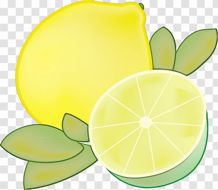 Watercolor Leaf - Lemon - Seedless Fruit Meyer Transparent PNG