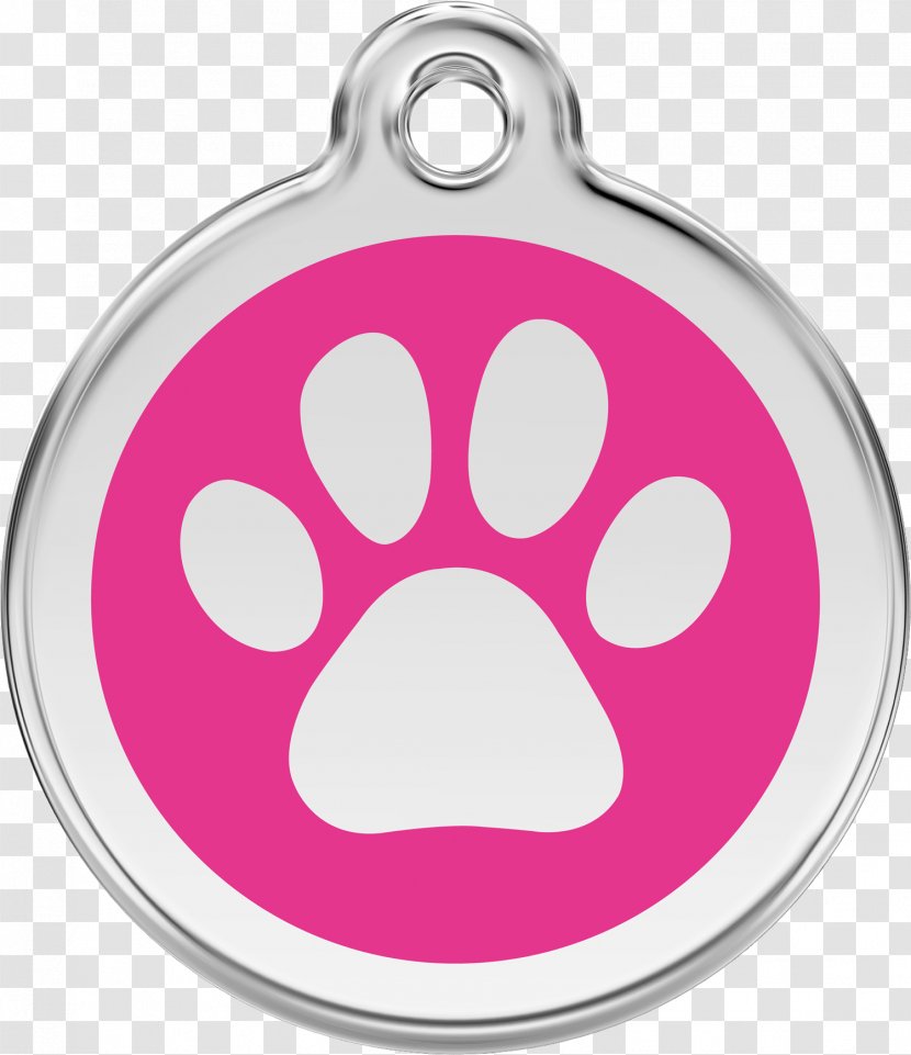 Dog Collar Dingo Pet Tag Cat - Hot Transparent PNG