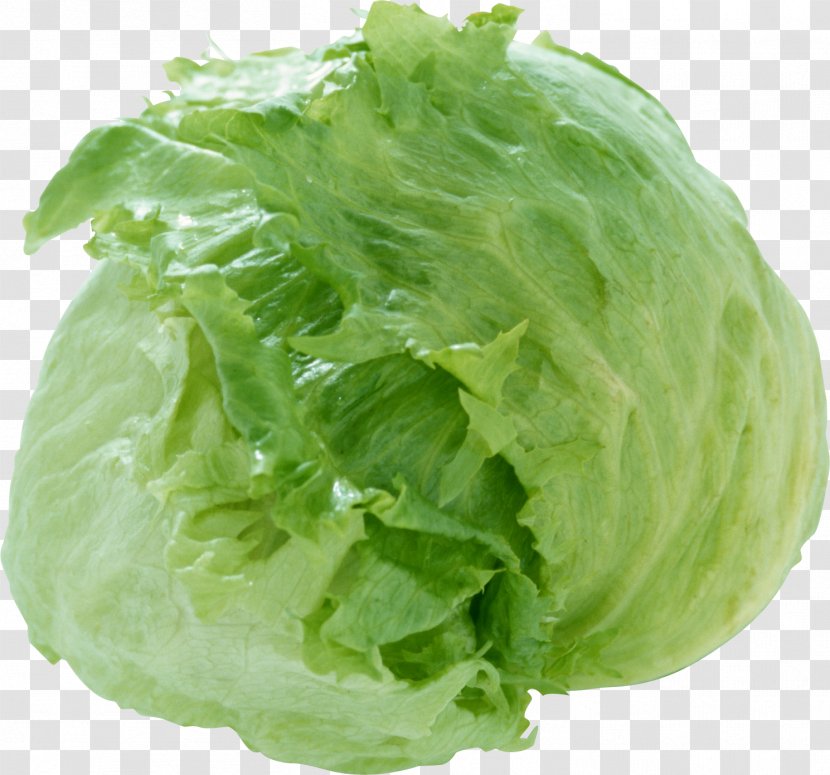 Iceberg Lettuce Cabbage Broccoli Salad Dish - Menu Transparent PNG