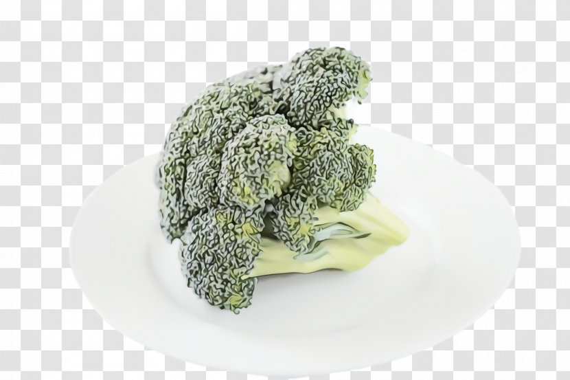 Salad - Methylenetetrahydrofolate Reductase - Superfood Plant Transparent PNG