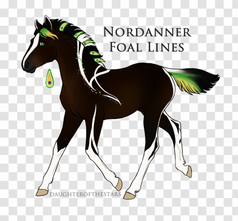 Mustang Mane Stallion Pony Foal Transparent PNG