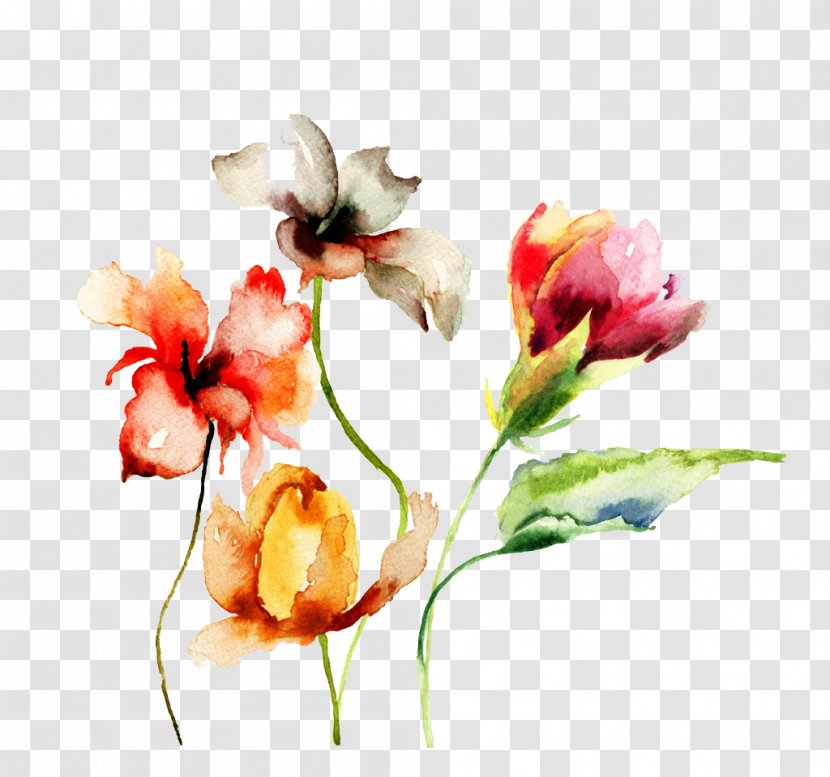 Paper Watercolor Painting Drawing Flower - Flowers Transparent PNG