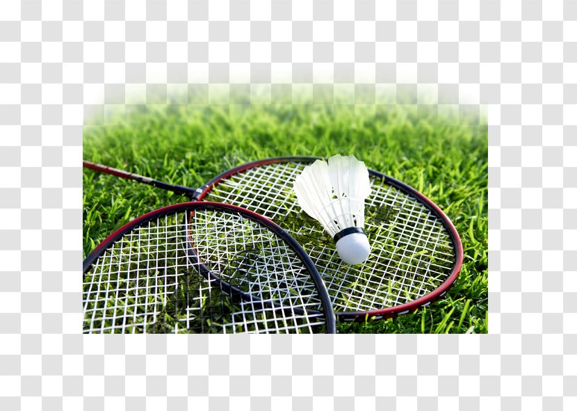 Badminton Sport Racket Smash Shuttlecock - Ball Transparent PNG