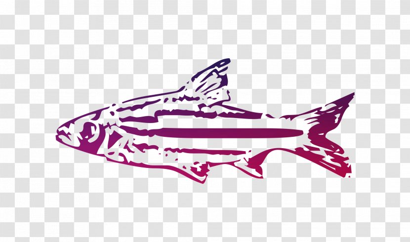 Shark Logo Car Airplane Font - Rtv Pink Transparent PNG