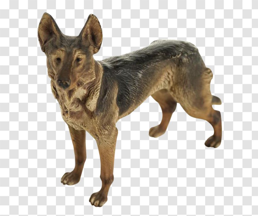 Kunming Wolfdog German Shepherd Coyote Dog Breed - Razas Nativas Vulnerables - Sheperd Transparent PNG