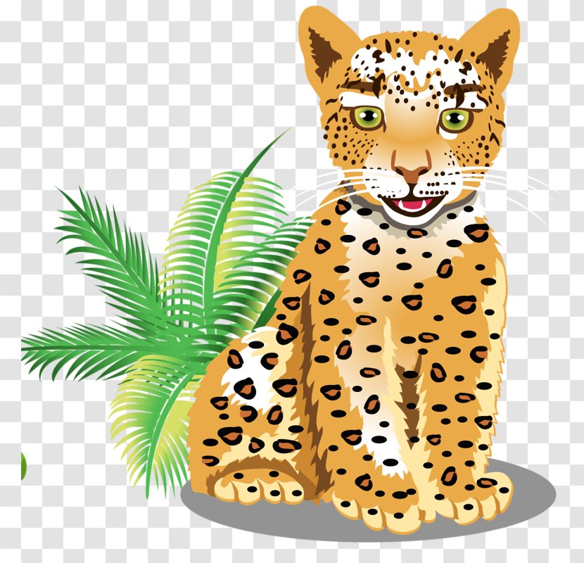 Leopard Felidae Cartoon Clip Art Transparent PNG