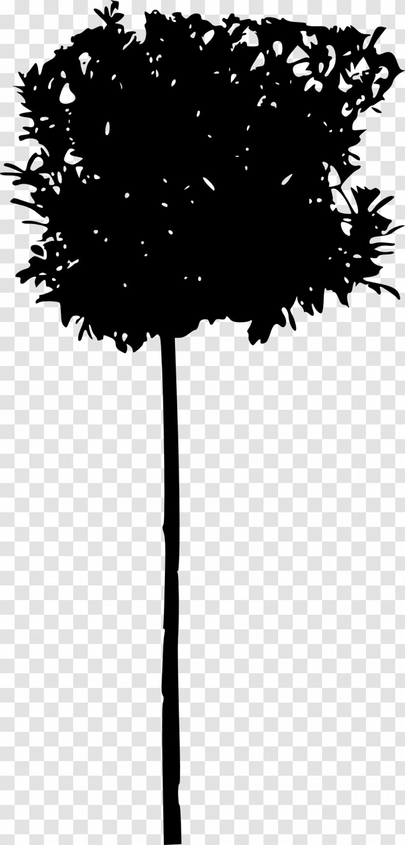 Tree Branch Woody Plant Twig Silhouette - Flower - Transparent Transparent PNG