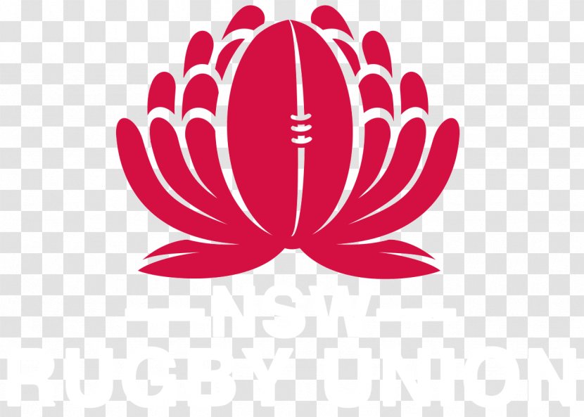 New South Wales Waratahs 2018 Super Rugby Season Queensland Reds Blues Australia National Union Team - Plant - Sanzaar Transparent PNG