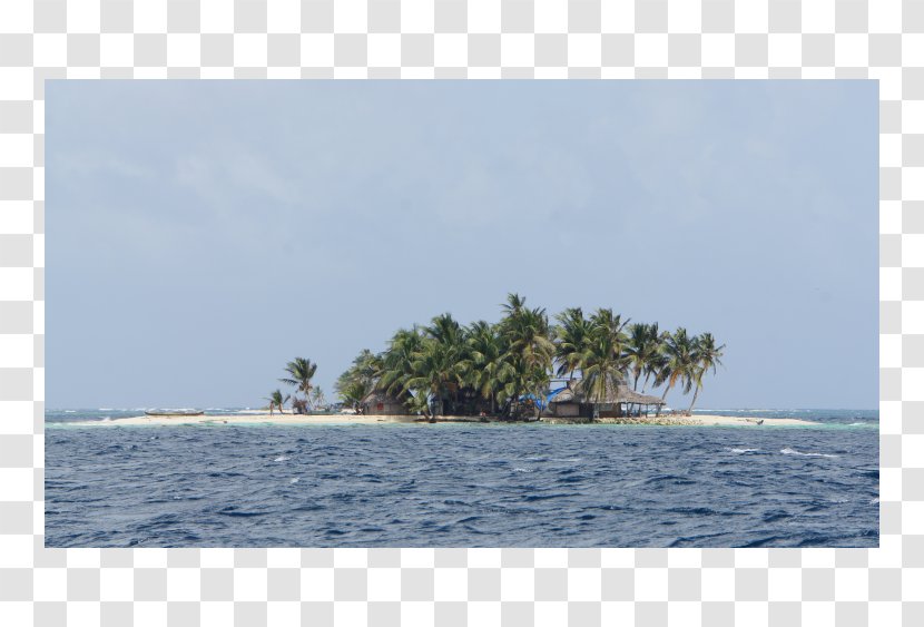 Islet Plant Community Waterway Inlet Water Resources - Coast - Tree Transparent PNG