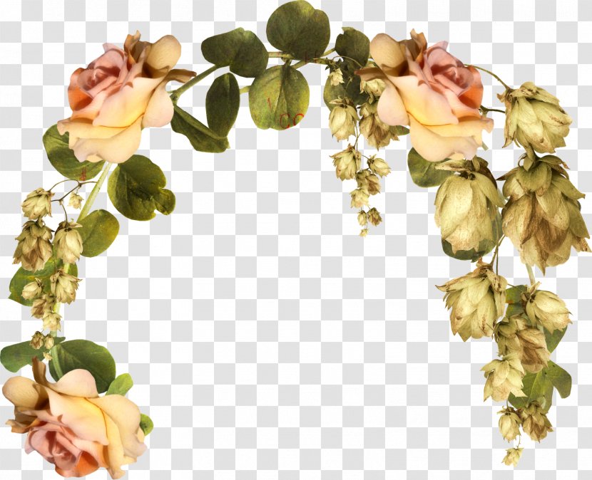 Cut Flowers Floral Design Blume - Dry Leaves Transparent PNG