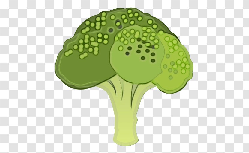 Green Leaf Background - Broccoli - Vegetable Transparent PNG