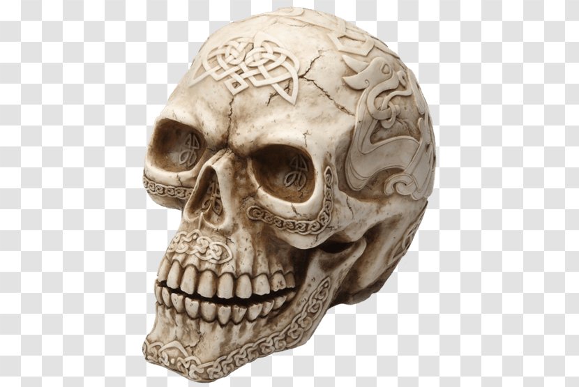 Skull Human Skeleton Head Bone Transparent PNG