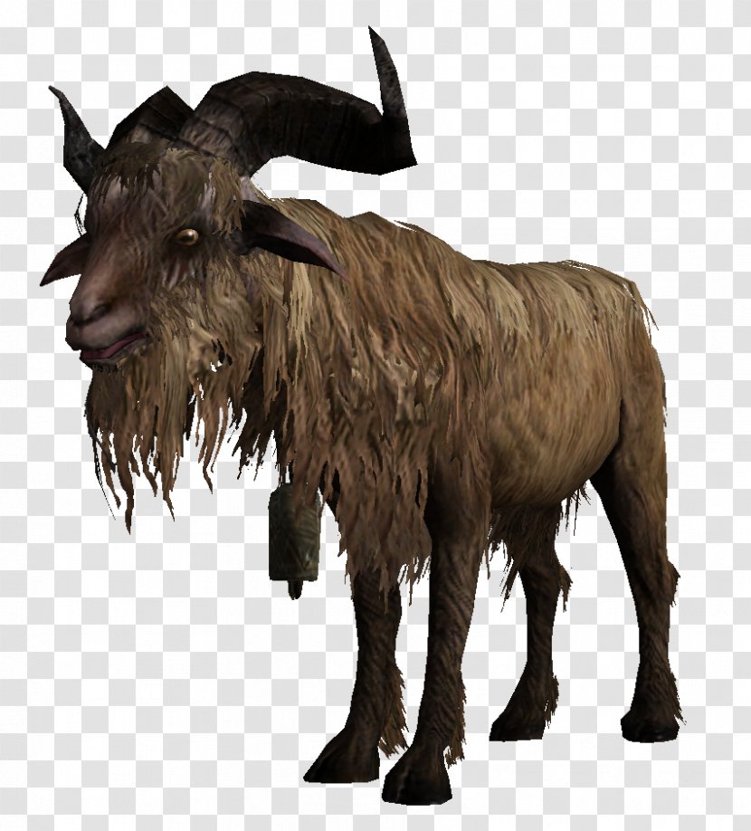 Goat Barbary Sheep Cattle The Elder Scrolls V: Skyrim - Cow Family Transparent PNG