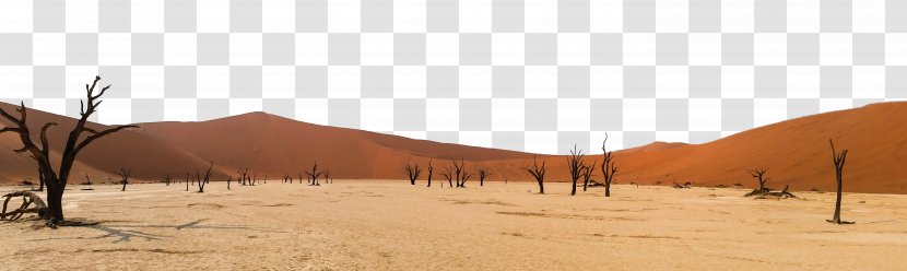 Sossusvlei Namib-Naukluft National Park Great Sandy Desert - Under The Sky Transparent PNG