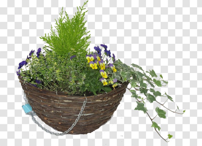 Hare Hatch Sheeplands Garden Flowerpot Nursery Hanging Basket - Plant Transparent PNG
